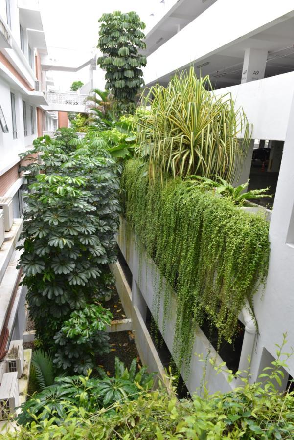 My Daily Homestay - Miri Times Square Exterior photo
